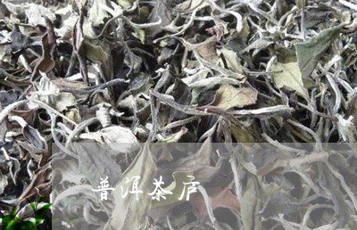 普洱茶庐/2023083102624