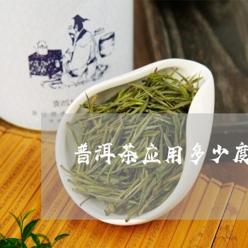 普洱茶应用多少度的水/2023072322846