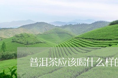 普洱茶应该喝什么样的/2023072260714