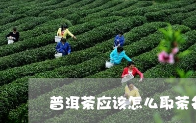 普洱茶应该怎么取茶名呢/2023103192717