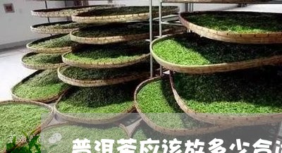 普洱茶应该放多少合适/2023073159361