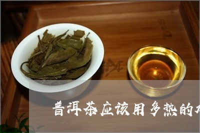 普洱茶应该用多热的水/2023093051605