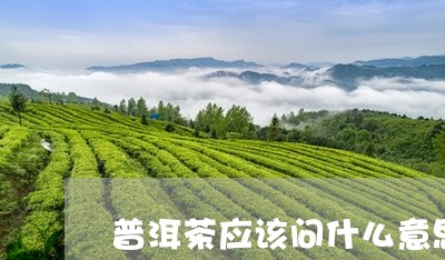 普洱茶应该问什么意思/2023062156261