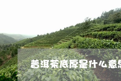 普洱茶底厚是什么意思/2023061502605