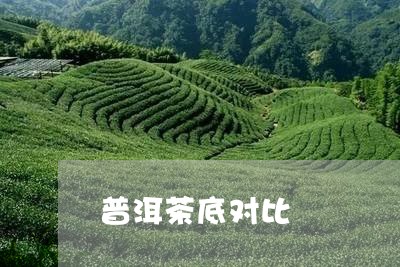 普洱茶底对比/2023042686703