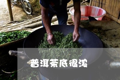 普洱茶底很浓/2023042879673