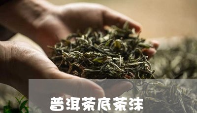 普洱茶底茶沫/2023112628693