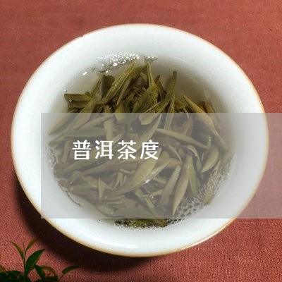 普洱茶度/2023121808483