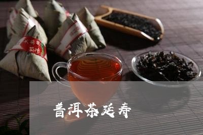 普洱茶延寿/2023090645247