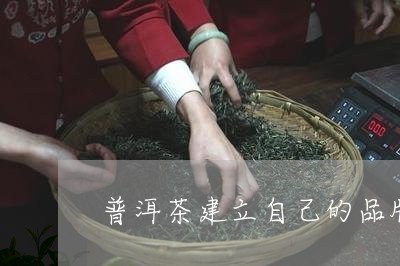 普洱茶建立自己的品牌/2023100872605