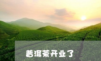 普洱茶开业了/2023042726215