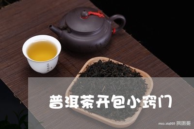 普洱茶开包小窍门/2023110642694