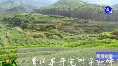 普洱茶开完叶子就碎了/2023100716147