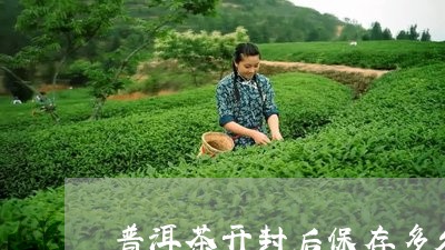 普洱茶开封后保存多久/2023073147139