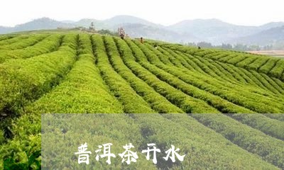 普洱茶开水/2023090614058