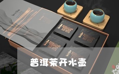 普洱茶开水壶/2023042858095