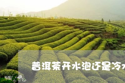 普洱茶开水泡还是冷水/2023100659361