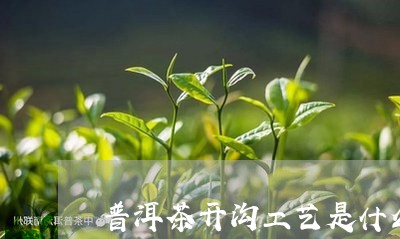 普洱茶开沟工艺是什么工艺/2023082819706