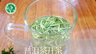 普洱茶开茶/2023090602695