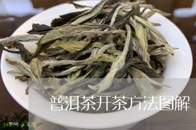 普洱茶开茶方法图解/2023091455826