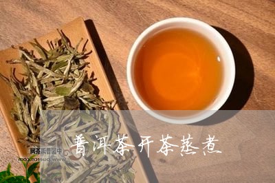 普洱茶开茶蒸煮/2023110634039