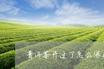 普洱茶开过了怎么保存最好/2023112554737