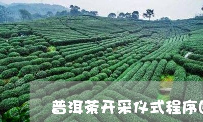 普洱茶开采仪式程序图片/2023103128502