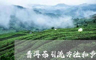 普洱茶引流方法和步骤/2023100639391