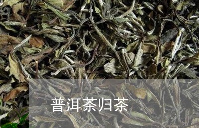 普洱茶归茶/2023102592825