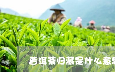 普洱茶归藏是什么意思/2023062094037