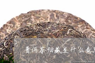 普洱茶归藏是什么意思/2023093074726