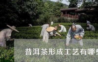 普洱茶形成工艺有哪些/2023120649696