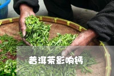 普洱茶影响钙/2023042735263