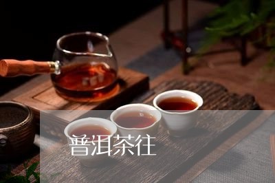 普洱茶往/2023121861604