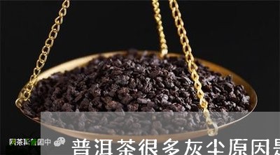 普洱茶很多灰尘原因是啥/2023050547261