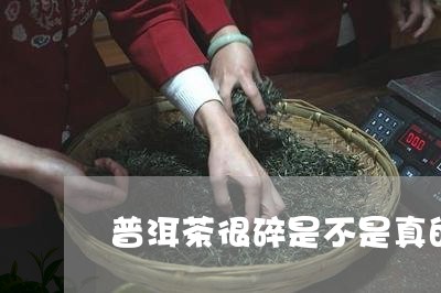 普洱茶很碎是不是真的/2023062326169