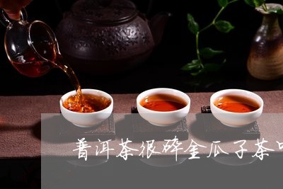 普洱茶很碎金瓜子茶叶/2023061464946