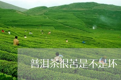 普洱茶很苦是不是坏了/2023080148461