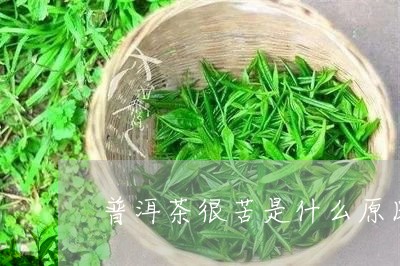 普洱茶很苦是什么原因/2023062267393