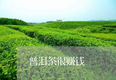 普洱茶很赚钱/2023102591945