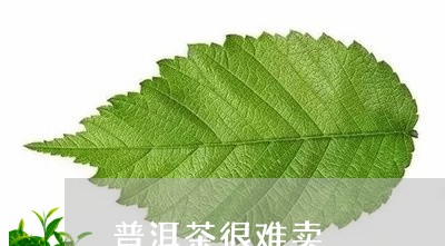 普洱茶很难卖/2023081847562