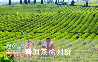 普洱茶徐列群/2023090667058