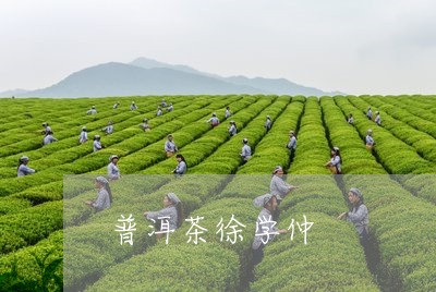 普洱茶徐学仲/2023042523219