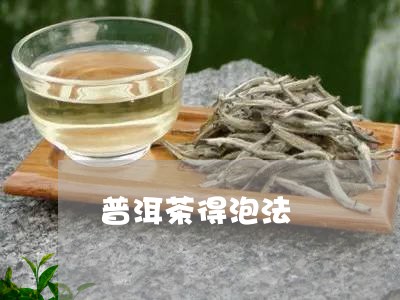 普洱茶得泡法/2023042596920