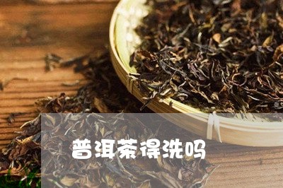 普洱茶得洗吗/2023090637382