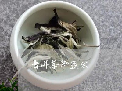 普洱茶御盛宏/2023042906843