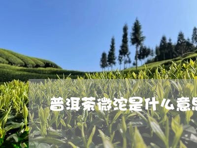 普洱茶微沱是什么意思/2023093060028