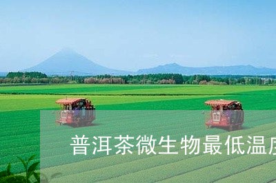 普洱茶微生物最低温度/2023092652514