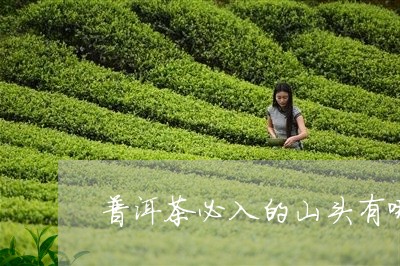 普洱茶必入的山头有哪些/2023082778704