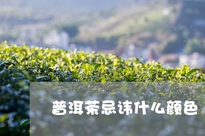 普洱茶忌讳什么颜色/2023070814157